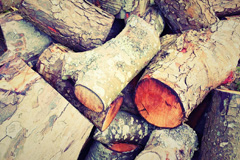 Putney wood burning boiler costs